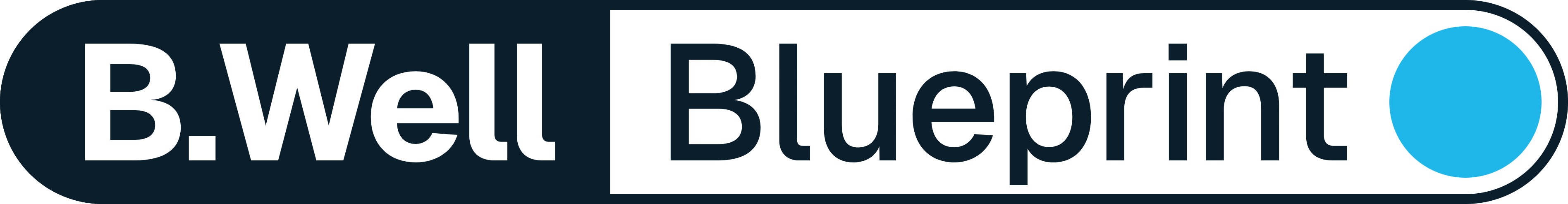 B.Well Blueprint
